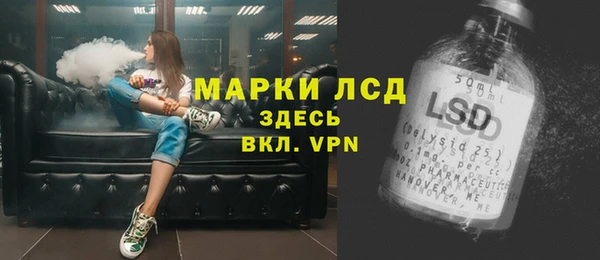 стафф Осинники