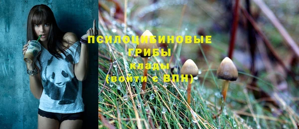 бошки Арсеньев