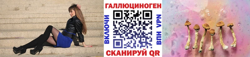 нарко площадка Telegram  Медногорск  Галлюциногенные грибы мицелий 